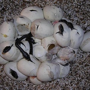 DSCN0981 (Small).JPG