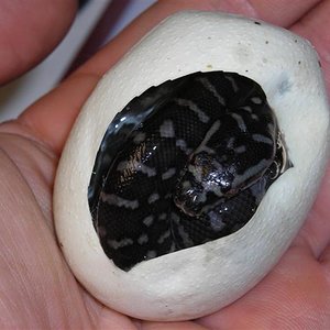 DSCN0982 (Small).JPG