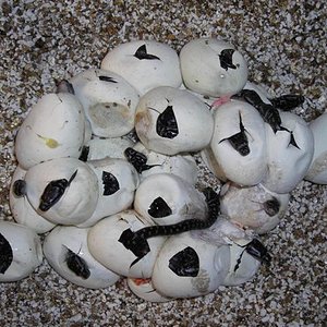 DSCN0983 (Small).JPG