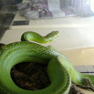 DSCF4095 (Medium).JPG