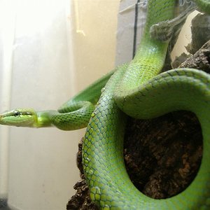 DSCF4097 (Medium).JPG