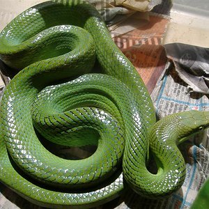 DSCF4154 (Medium).JPG