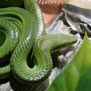 DSCF4152 (Medium).JPG