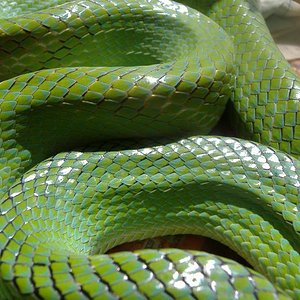 DSCF4156 (Medium).JPG