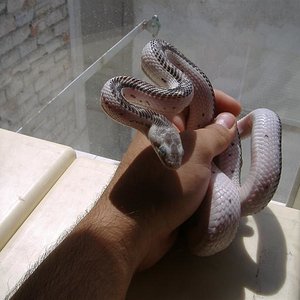 DSCF4098 (Medium).JPG