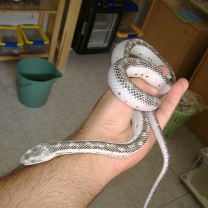 DSCF4100 (Medium).JPG