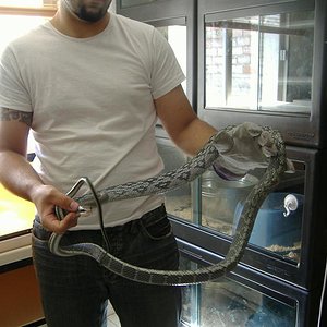 DSCF4107 (Medium).JPG