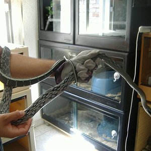 DSCF4108 (Medium).JPG