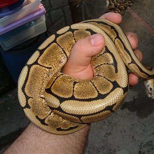 DSCF0902 (Small).JPG