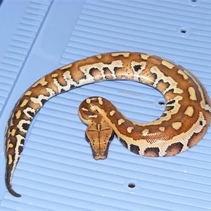 DSCF0004 (Small).jpg