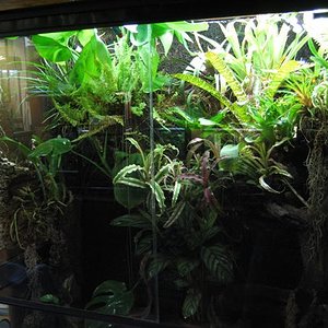 IMG_6823 (Small).JPG