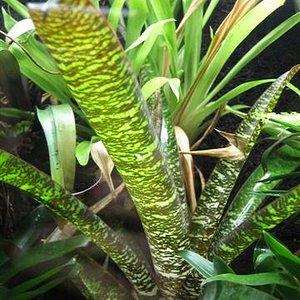 IMG_6828 (Small).JPG