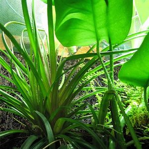 IMG_6831 (Small).JPG