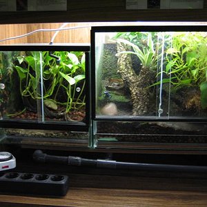 IMG_6834 (Small).JPG