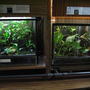 IMG_6835 (Small).JPG