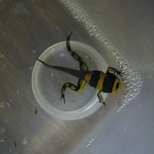 IMG_6818 (Small).JPG