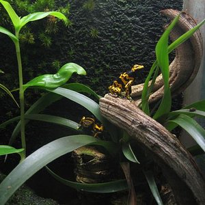 IMG_6800 (Small).JPG