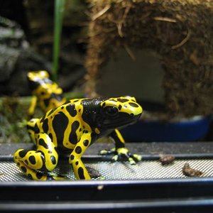 IMG_6809 (Small).JPG