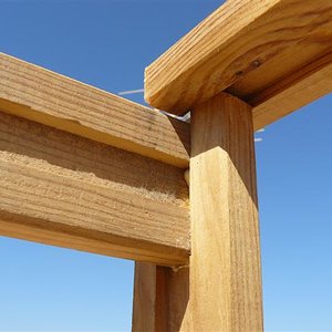 Imagen 454 (Small).jpg