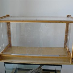 Imagen 465 (Small).jpg