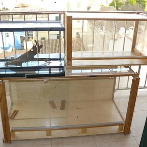 Imagen 463 (Small).jpg