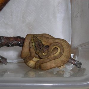 DSCN1005 (Small).JPG