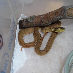 DSCN1007 (Small).JPG