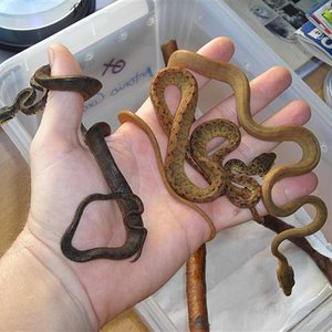 DSCN1009 (Small).JPG