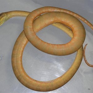 DSCN1012 (Small).JPG