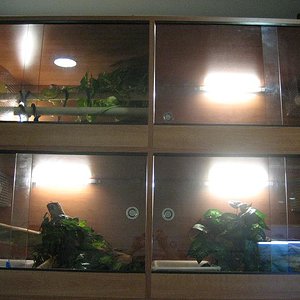 IMG_0191 - copia.JPG