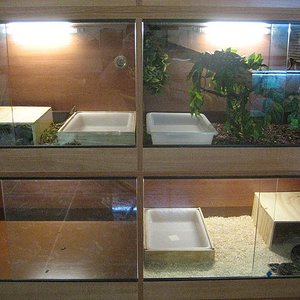 IMG_0193 - copia.JPG