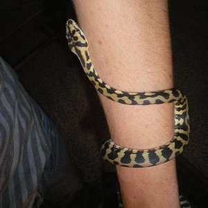 expoterraria 08 sept 022 (Medium).jpg