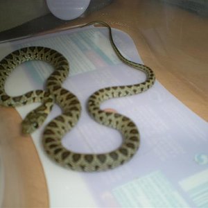 DSCN0609 (Small).jpg