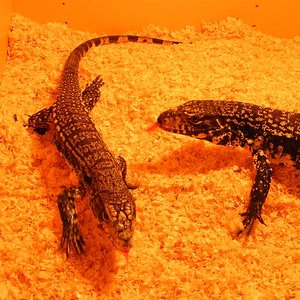 DSCF0021 (Medium).jpg