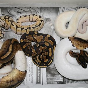 IMG_1938 (Small).JPG