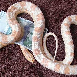 18 de octubre de 2008   DSC00704-001-reducido.jpg