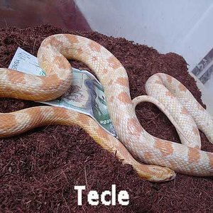 18 de octubre de 2008   DSC00706-001-reducido.jpg