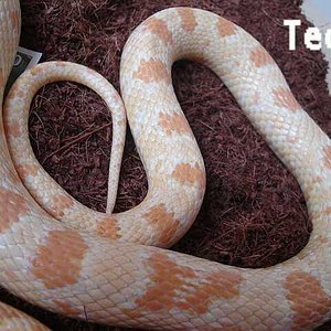 18 de octubre de 2008   DSC00708-001-reducido.jpg