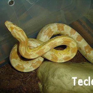 18 de octubre de 2008   DSC00713-001-reducido.jpg