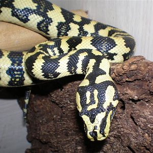 PB010326 (Small).JPG