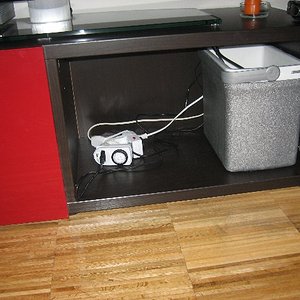 Terrario_Camaleon (36).JPG