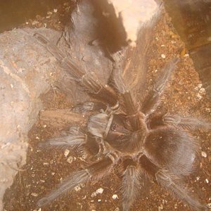 DSC00568 (Small).JPG