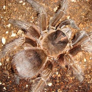 DSC00572 (Small).JPG