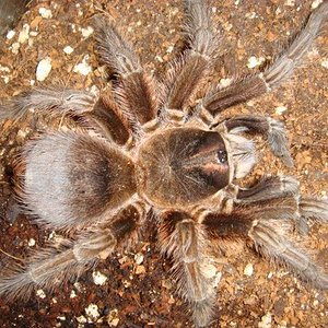 DSC00573 (Small).JPG