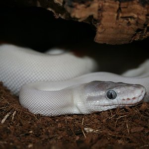 Imagen 025 (Large).jpg