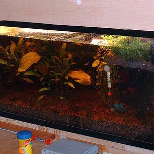 aquaterr SEMI Acabat 1.jpg