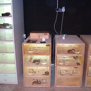 DSC02994 [800x600].JPG