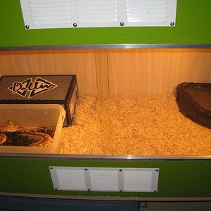 P. curtus instalaciones.JPG