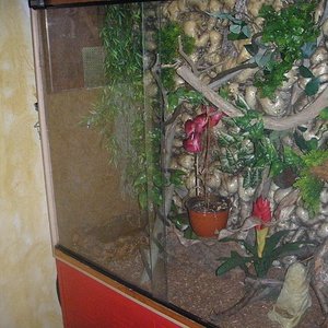 terreario 02.JPG