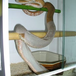 P1010018 [640x480].JPG